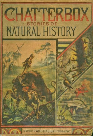 Copertina di Chatterbox Stories of Natural History, di Anonymous