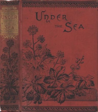 Copertina di Eric / or, Under the Sea, di S. B. C. Samuels