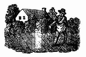 Copertina di The Planters of Colonial Virginia, di Thomas Jefferson Wertenbaker