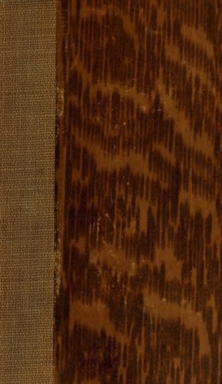 Portada de La guerre injuste: lettres d'un Espagnol, de Armando Palacio Valdés