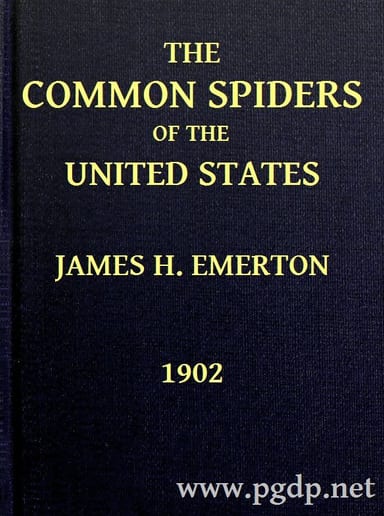 Operculum “The Common Spiders of the United States”, auctore J. H. Emerton