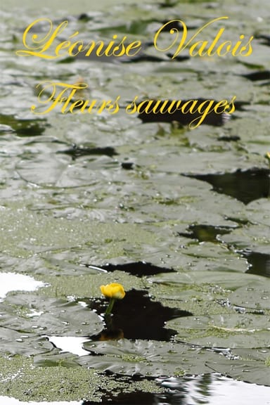 Portada de Fleurs sauvages: Poésies, de Léonise Valois