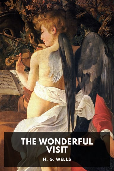 Cover of The Wonderful Visit by H. G. Wells