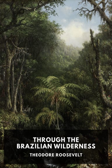 Cover of Through the Brazilian Wilderness by Theodore Roosevelt