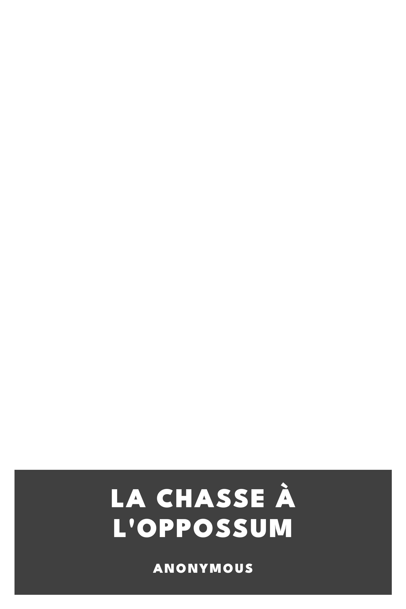 《La chasse à l'oppossum》封面,Anonymous 著