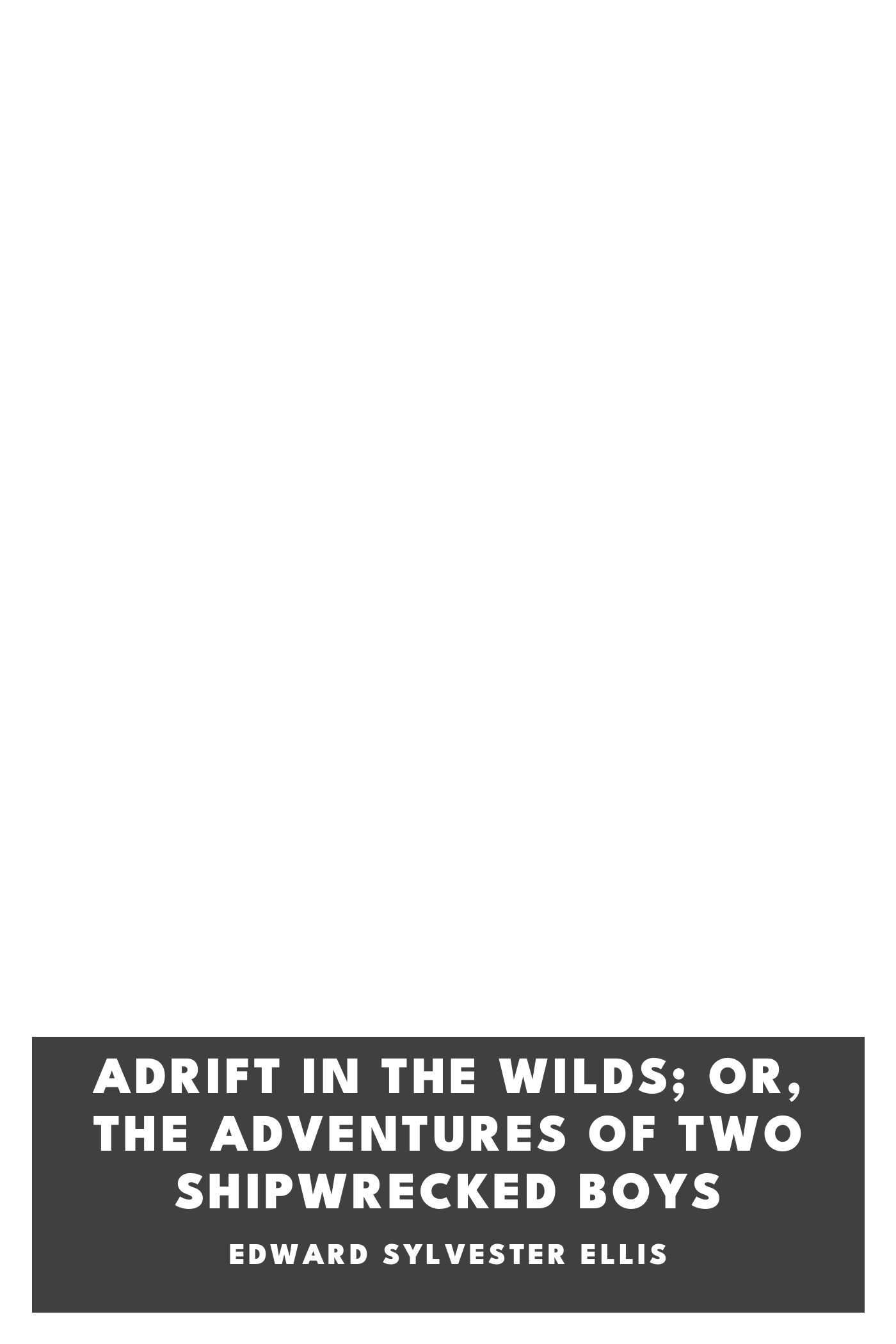Copertina di Adrift in the Wilds; Or, The Adventures of Two Shipwrecked Boys, di Edward Sylvester Ellis