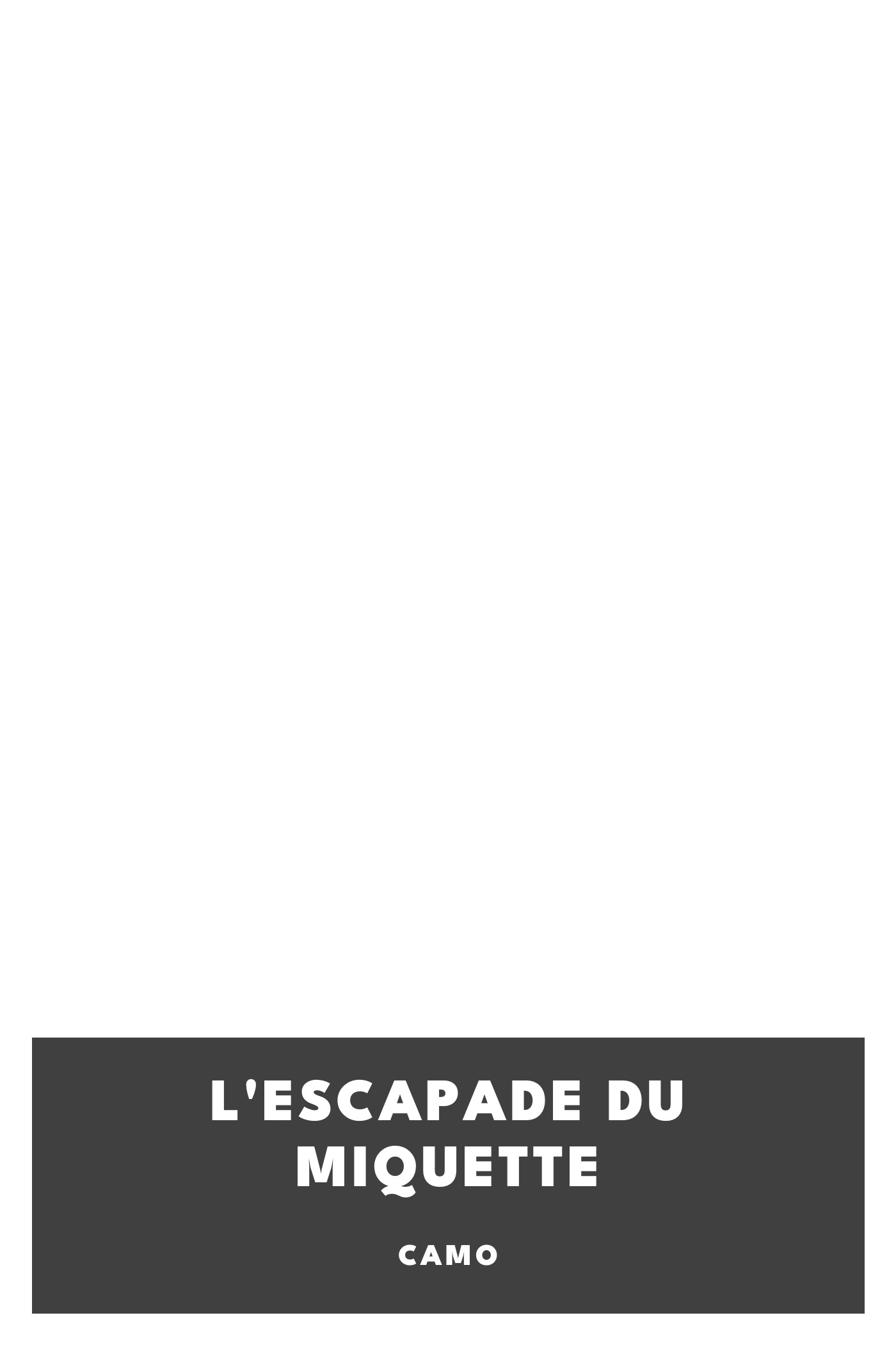 Copertina di L'escapade du Miquette, di Camo
