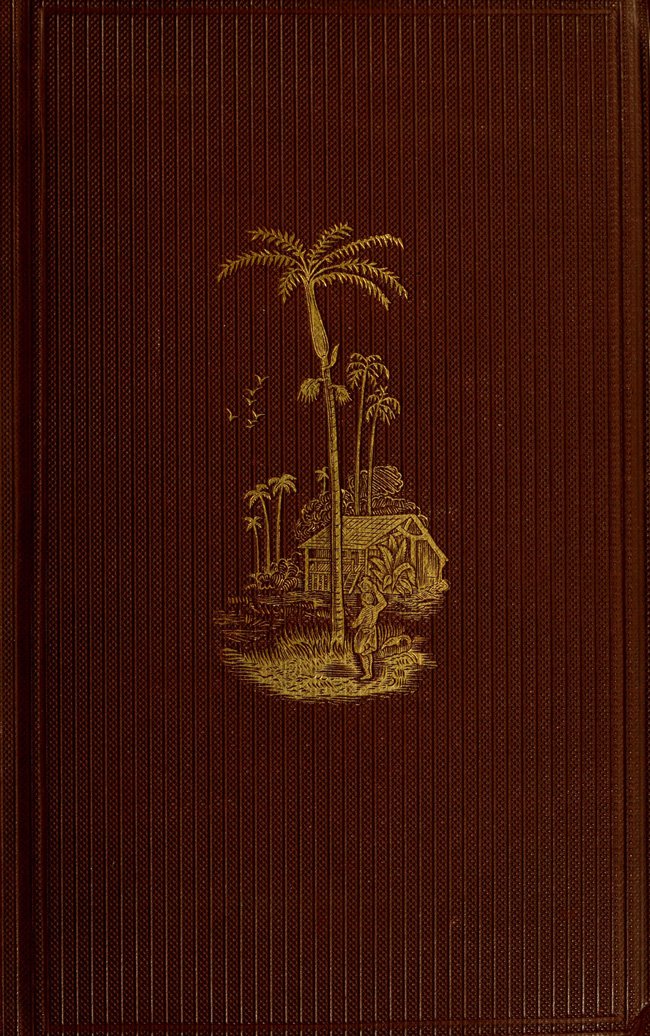 Copertina di The Naturalist on the River Amazons, di Henry Walter Bates