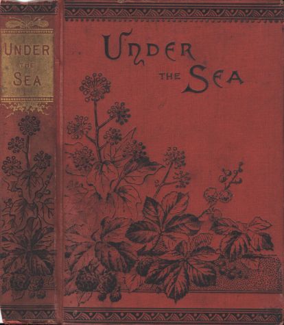 Copertina di Eric / or, Under the Sea, di S. B. C. Samuels