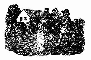 Copertina di The Planters of Colonial Virginia, di Thomas Jefferson Wertenbaker