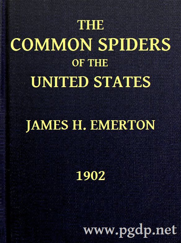 Operculum “The Common Spiders of the United States”, auctore J. H. Emerton