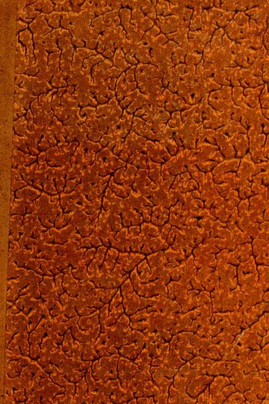 Copertina di Louis XIV et Marie Mancini d'après de nouveaux documents, di R. de Chantelauze