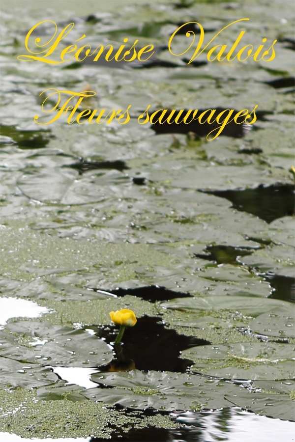 Portada de Fleurs sauvages: Poésies, de Léonise Valois