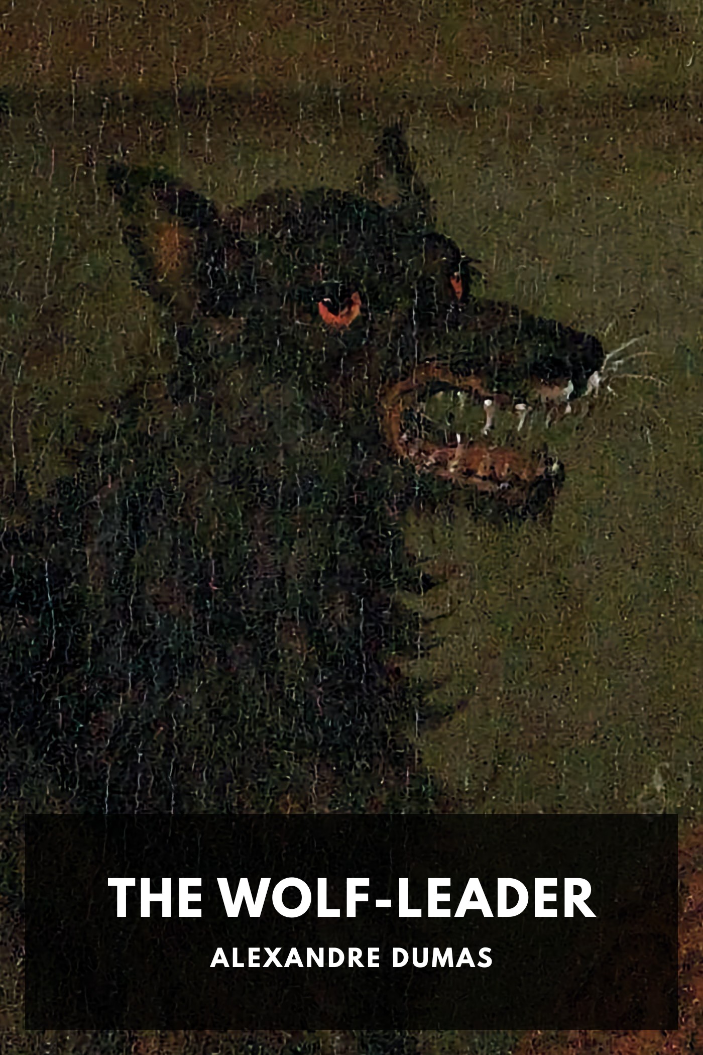 Couverture de The Wolf-Leader par Alexandre Dumas