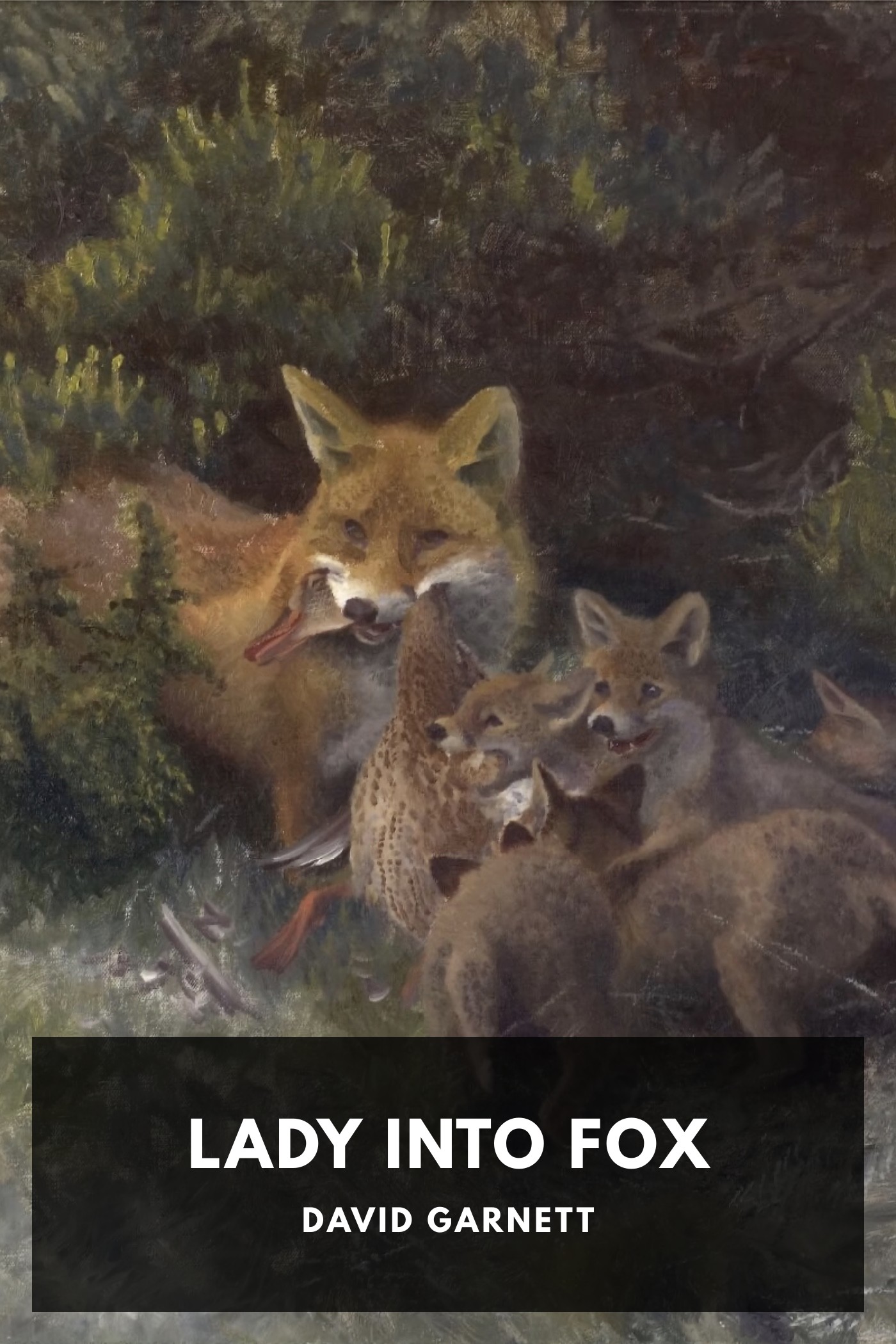 Cover of Lady Into Fox by David Garnett