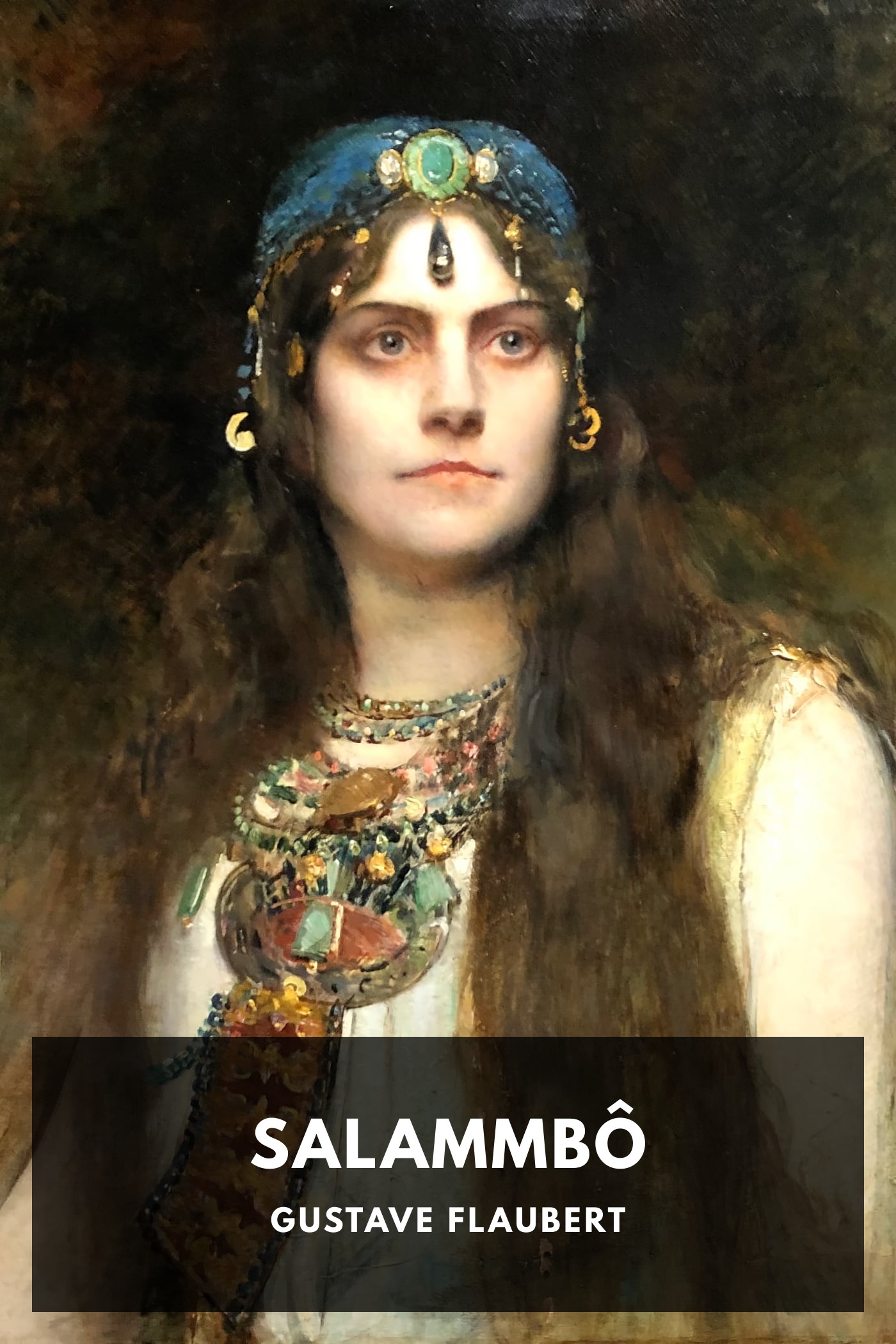 《Salammbô》封面,Gustave Flaubert 著