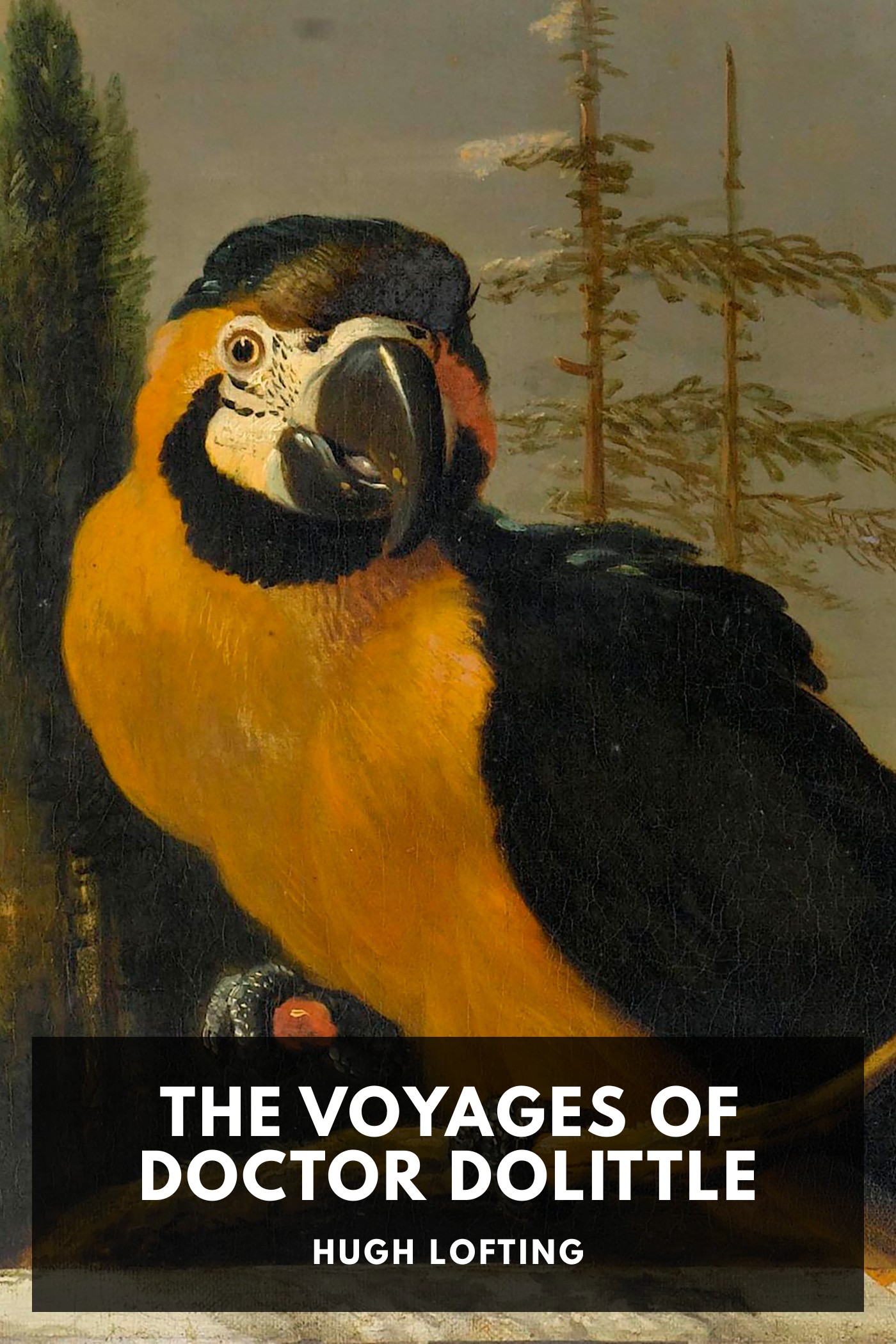 Cover of The Voyages of Doctor Dolittle by Hugh Lofting