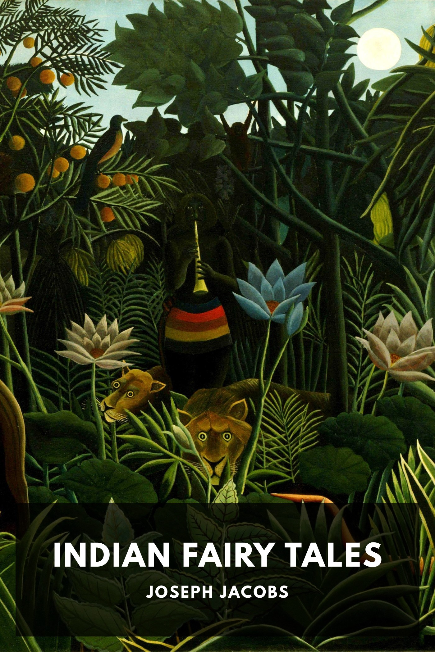 Cover of Indian Fairy Tales by Joseph Jacobs