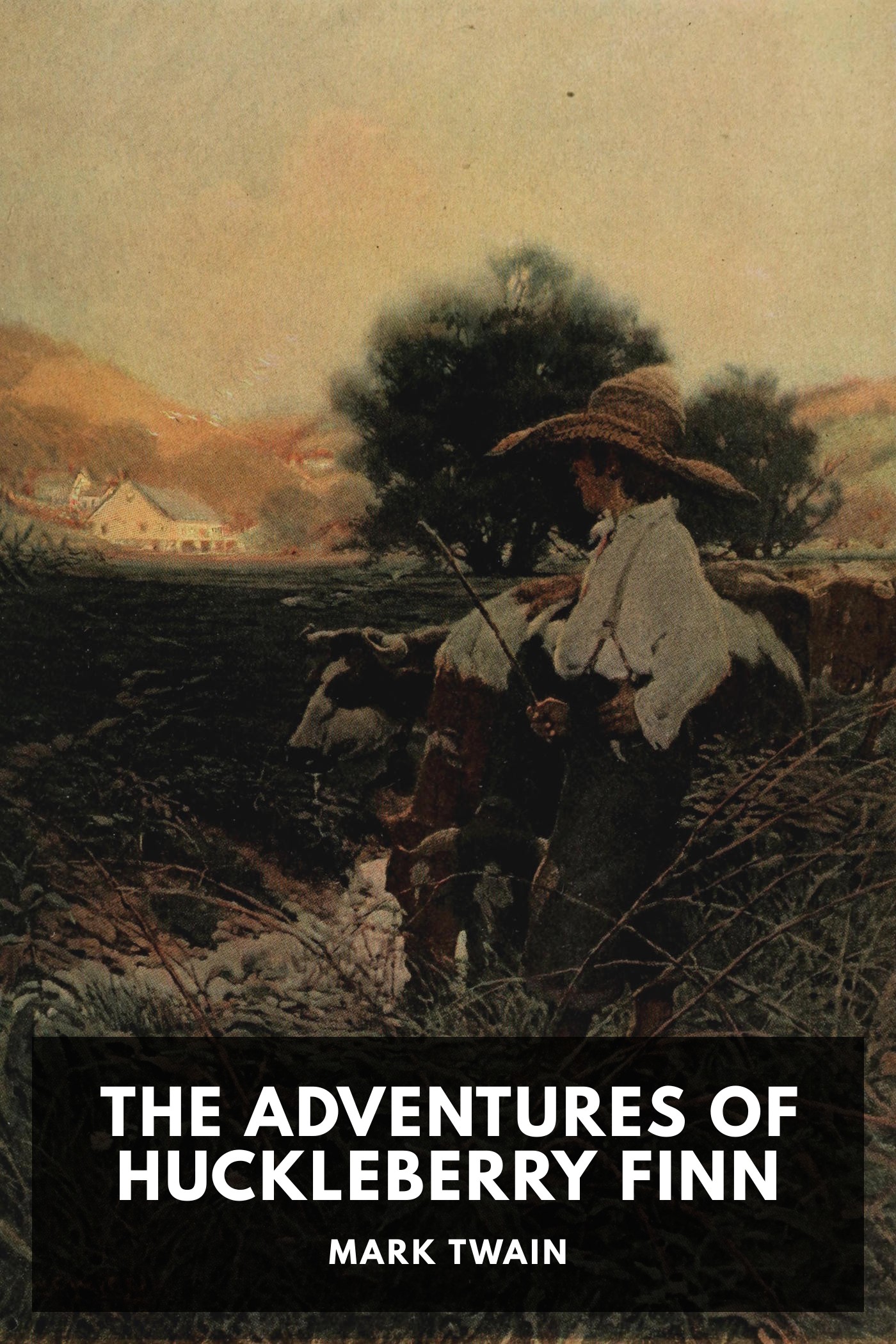 《The Adventures of Huckleberry Finn》封面,Mark Twain 著