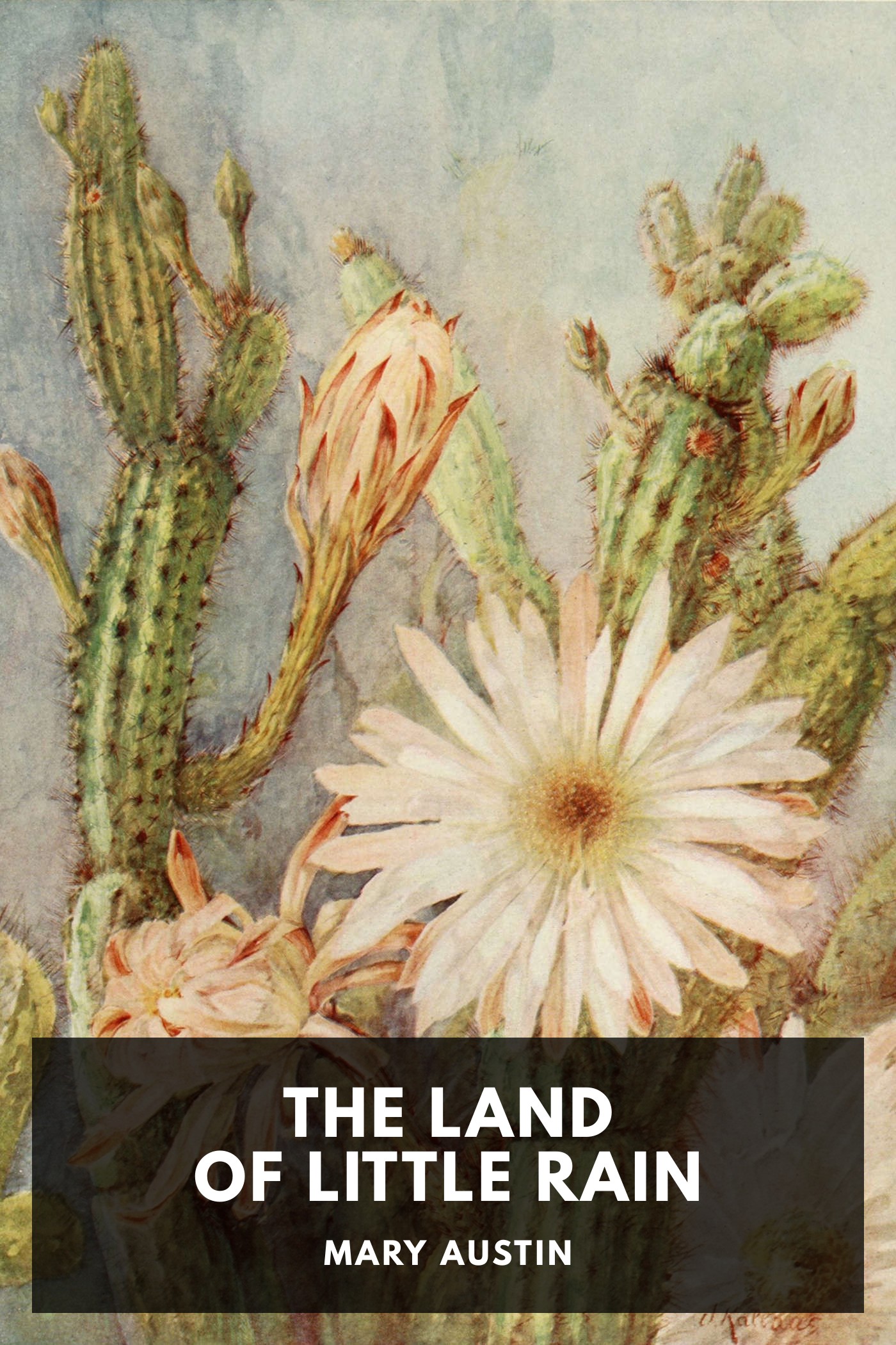 Cover of The Land of Little Rain by Mary Austin