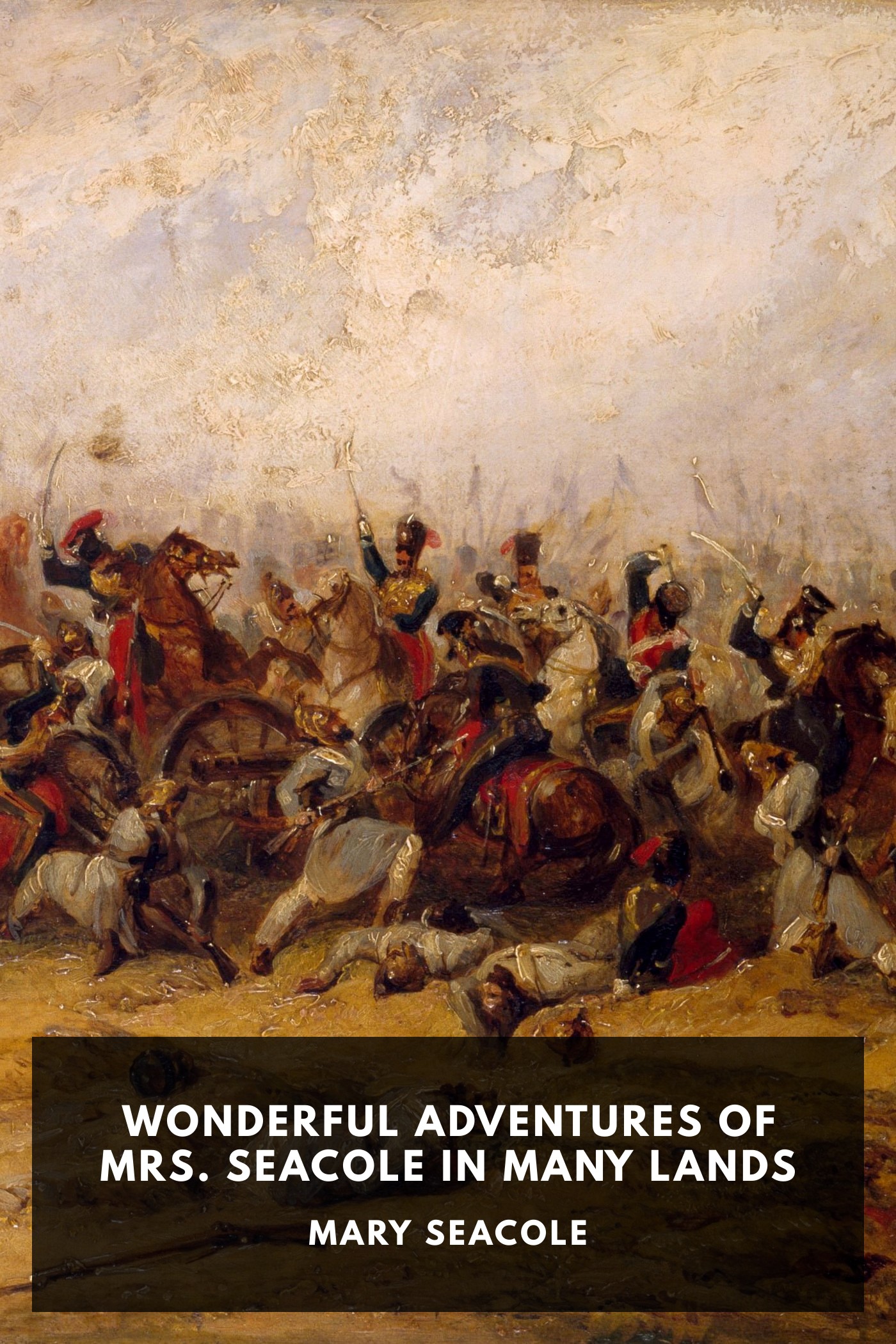Couverture de Wonderful Adventures of Mrs. Seacole in Many Lands par Mary Seacole