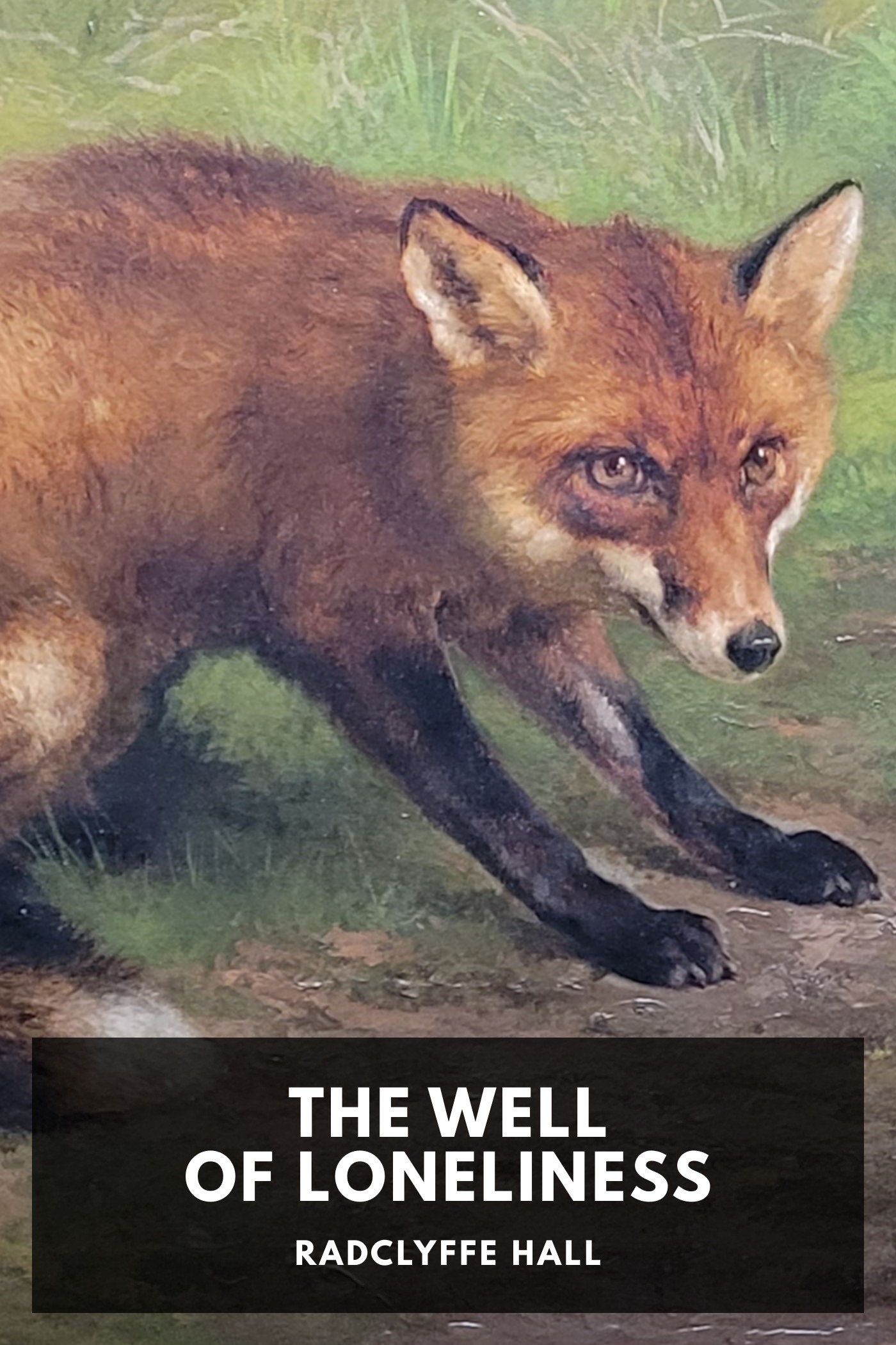 Cover of The Well of Loneliness by Radclyffe Hall