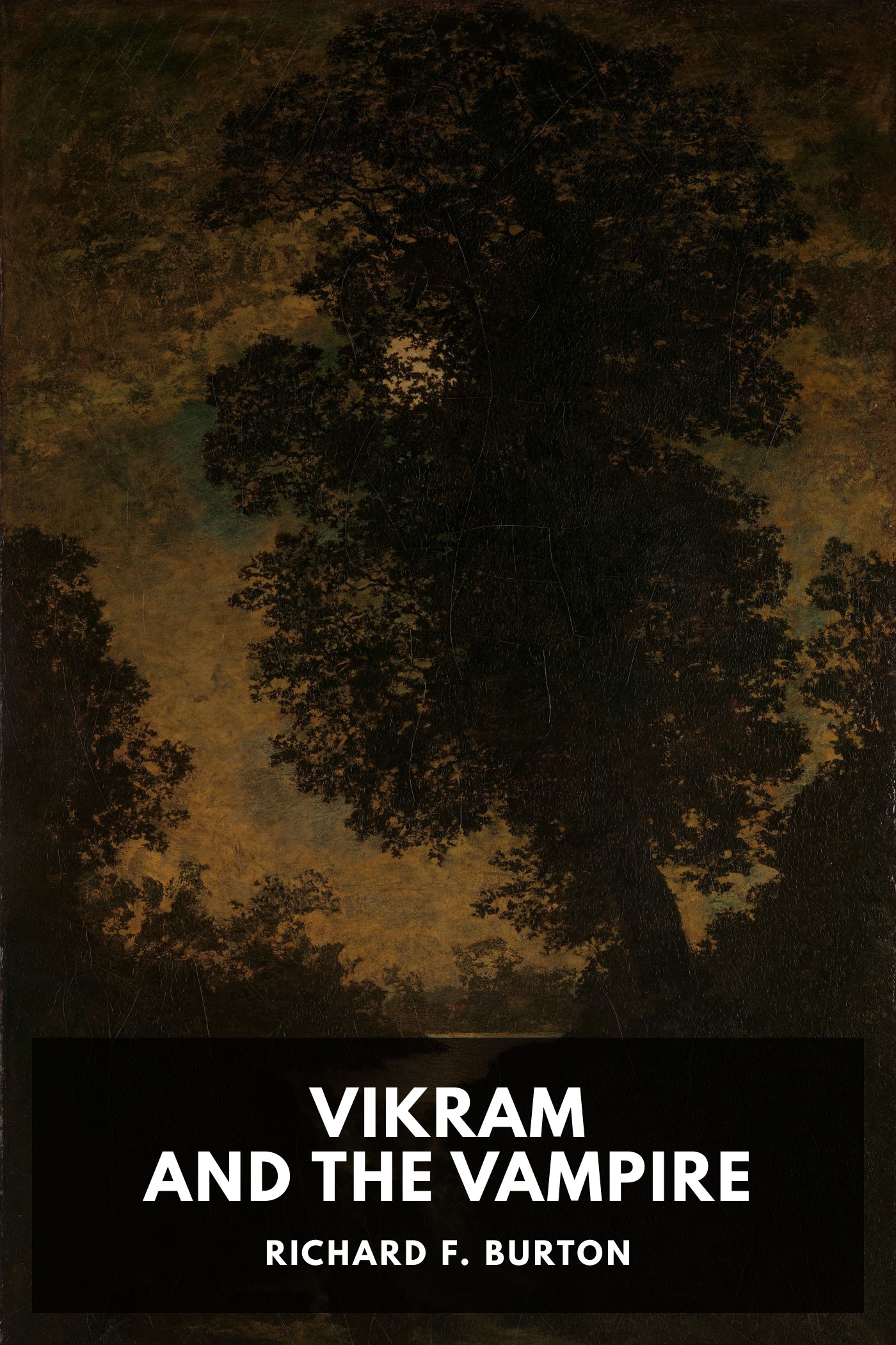 《Vikram and the Vampire》封面,Richard F. Burton 著