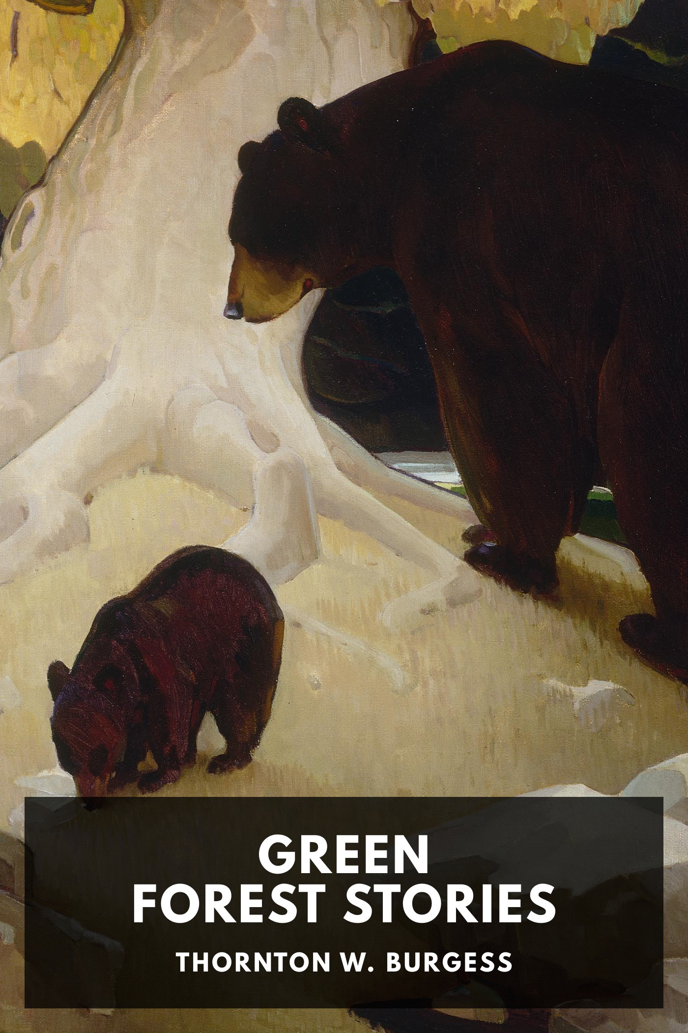 Cover of Green Forest Stories by Thornton W. Burgess