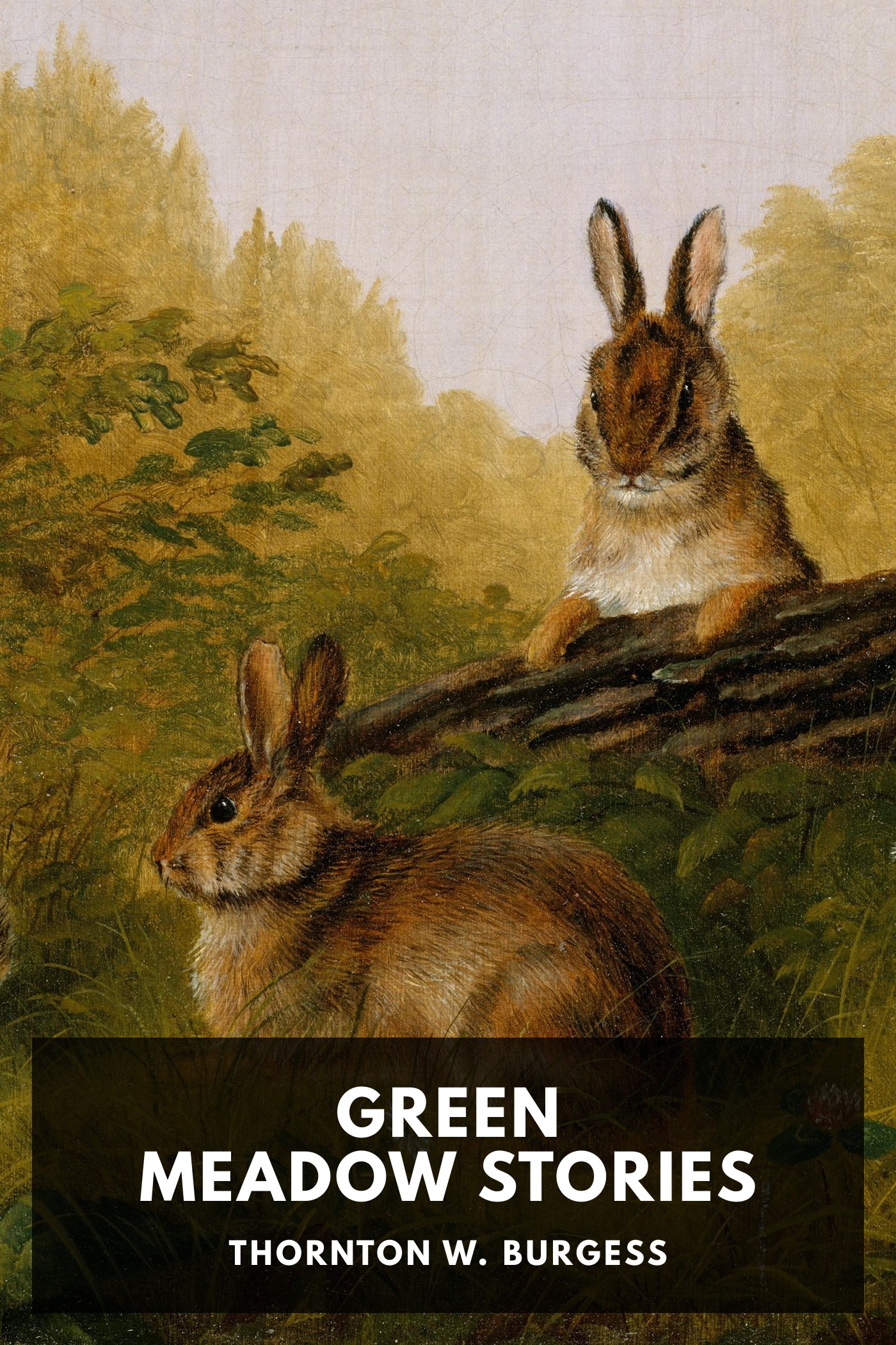 Couverture de Green Meadow Stories par Thornton W. Burgess