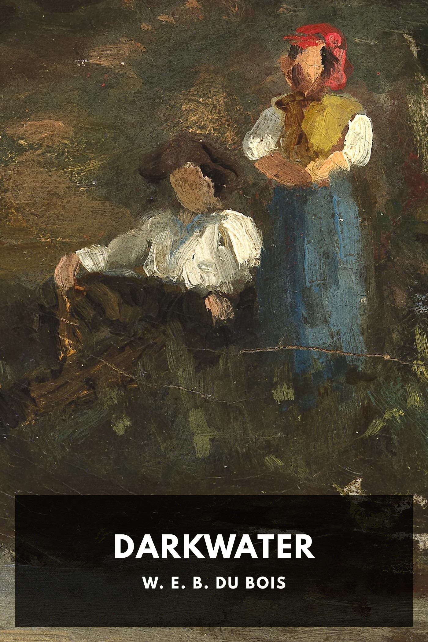 Cover of Darkwater by W. E. B. Du Bois