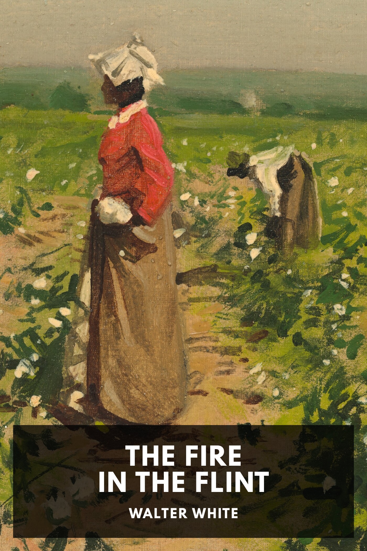《The Fire in the Flint》封面,Walter White 著